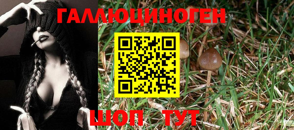 Псилоцибиновые грибы ЛСД Ирбит
